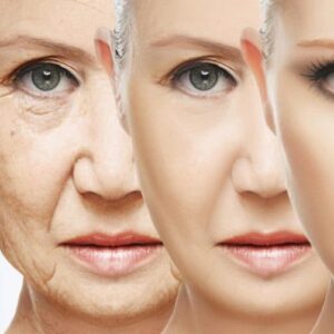 Anti-Aging/Anti-Oxidant Supplement Regimen